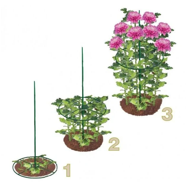 Plant rings