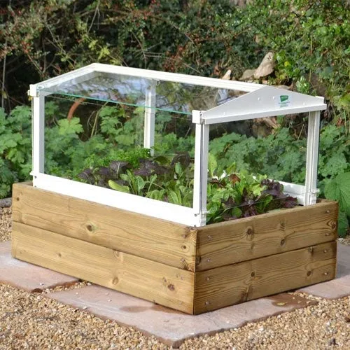 Access Herb And Salad Cloche Planter