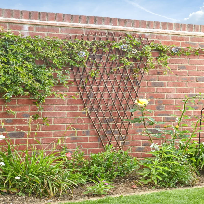 Heavy-Duty Willow Expanding FanTrellis (1.8m x 0.9m)