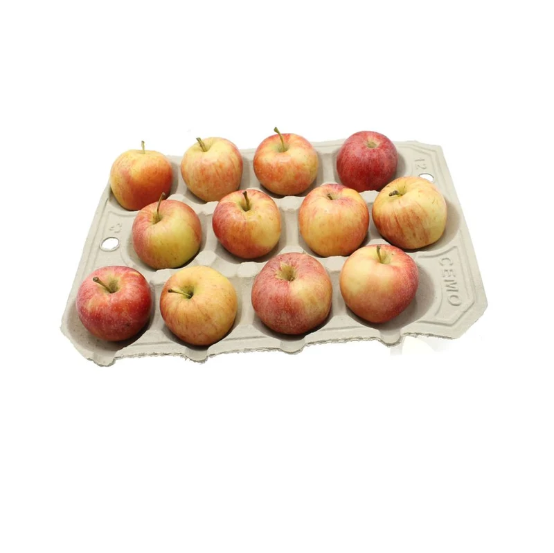 Biodegradable Apple Trays – 12 Compartments for Fresh Fruit Storage