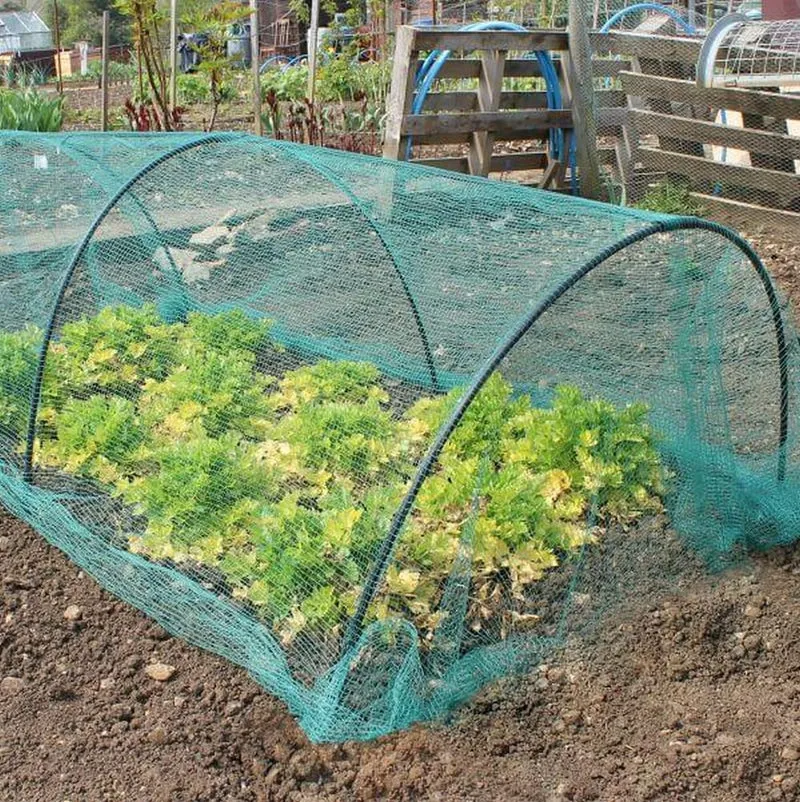 Modular Garden Hoops to Create Tunnel Kits