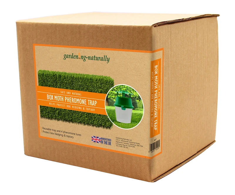 Box Moth Trap for Hedge Protection