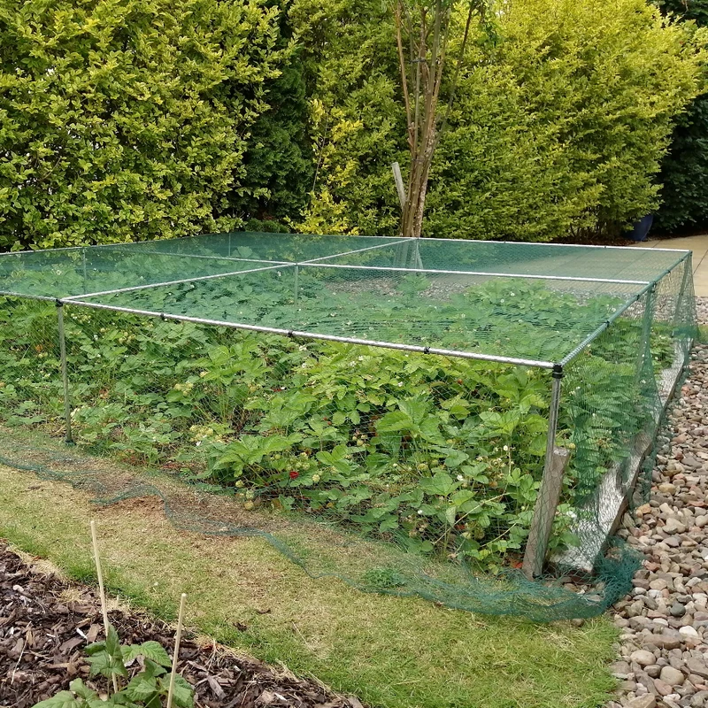 700mm High Erected Low Cage