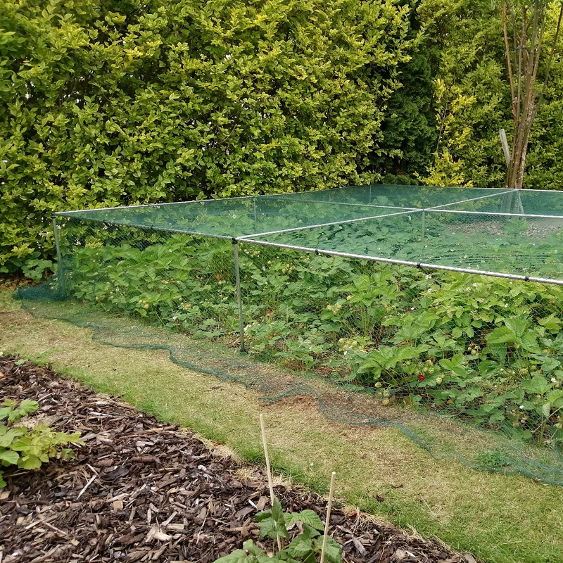 700mm High Erected Low Cage