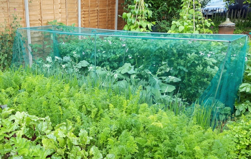 900mm High Cages