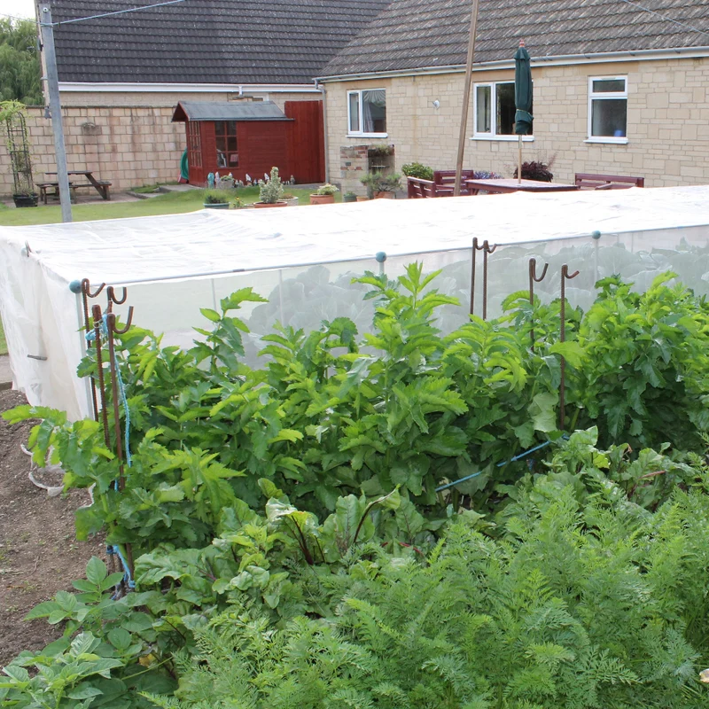 Low Fruit Cages or Vegetable Cages - 1.2m Erected High Cages