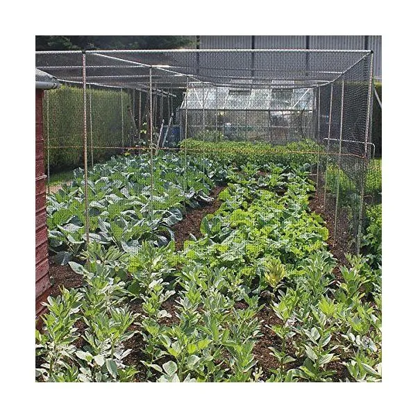 Fruit Cages Walk In