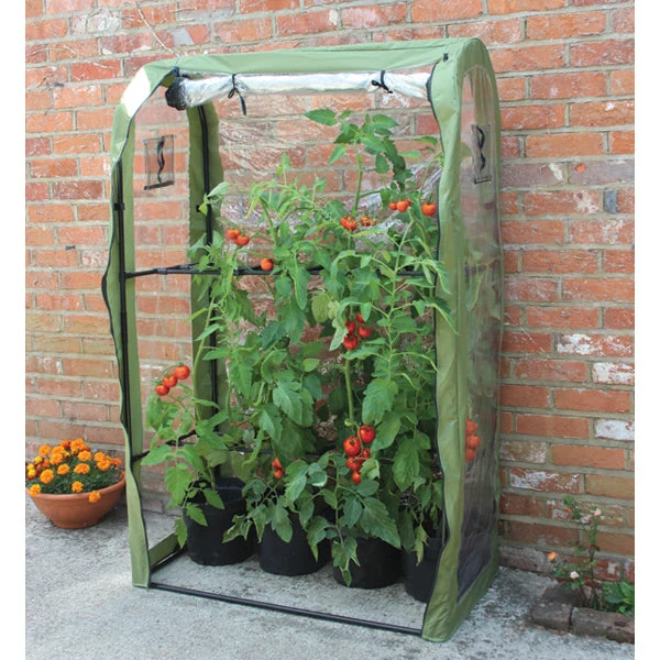 Tomato Crop-Booster Poly Frame and Cover