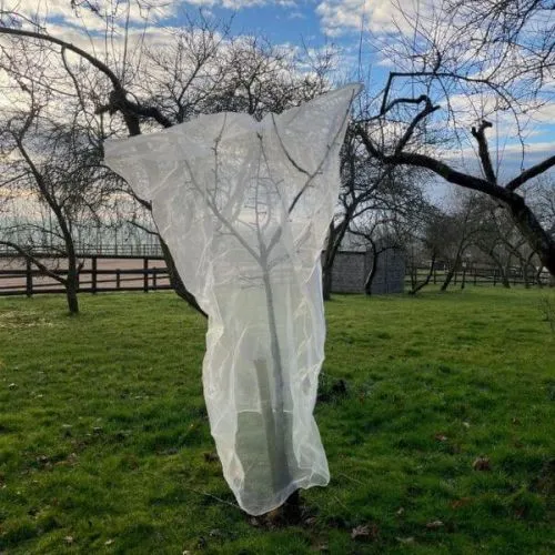 Protective Fruit Tree Netting Bag for Pest Control