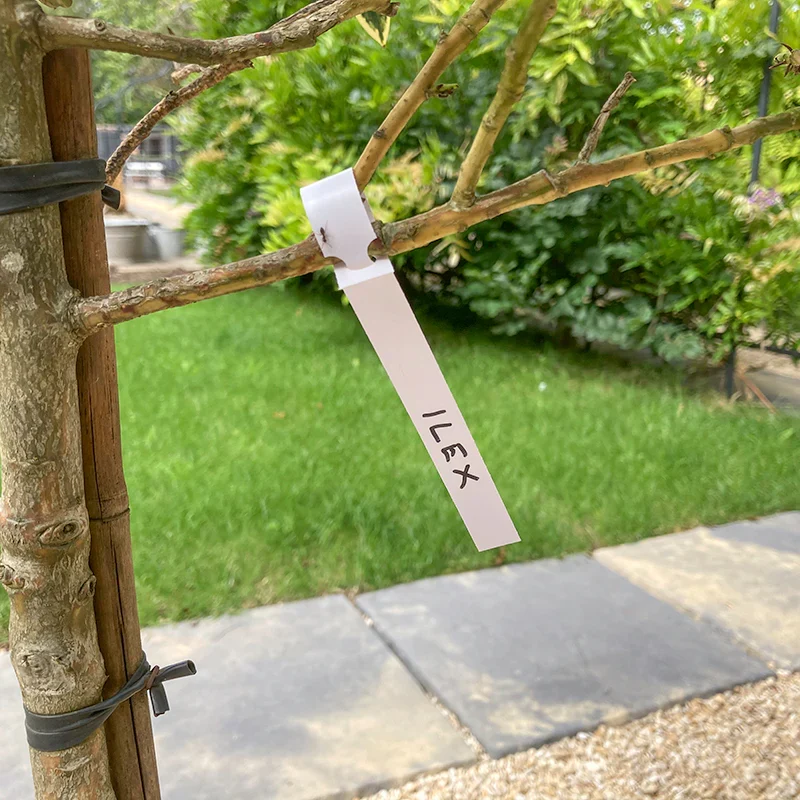 Loop Tie Labels
