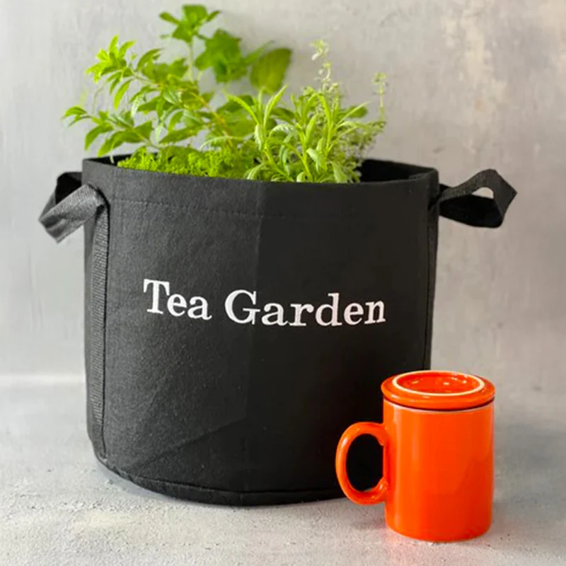 Gardenuity® Tea Garden Kit with Tea Brewer Mug