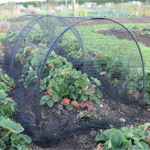 Garden Tunnels with Netting & Fleece