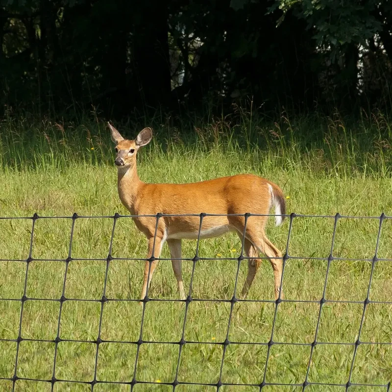 Anti -Deer Netting
