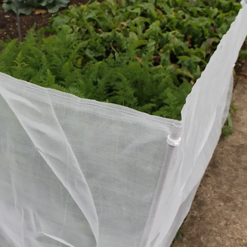 Carrot Netting (1m Wide)