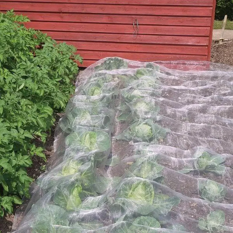 Insect Mesh Netting (Veggiemesh)