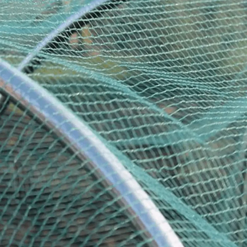 Butterfly Netting to Stop Cabbage White Butterflies