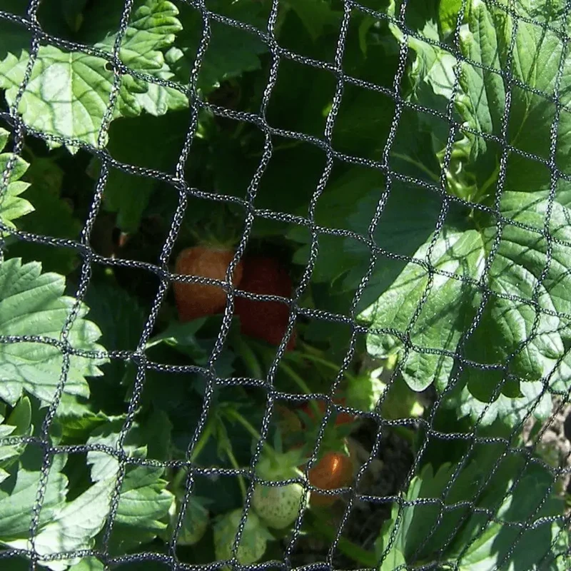 Garden Bird Netting For Fruit Trees And Vegetable Protection