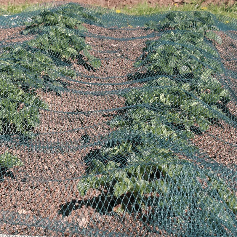 Green Anti Bird Netting For Fruit And Vegetable Protection
