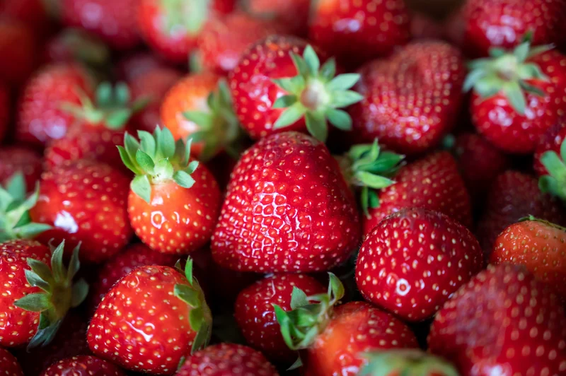 Fragaria ananassa 'Polka', 6-pack