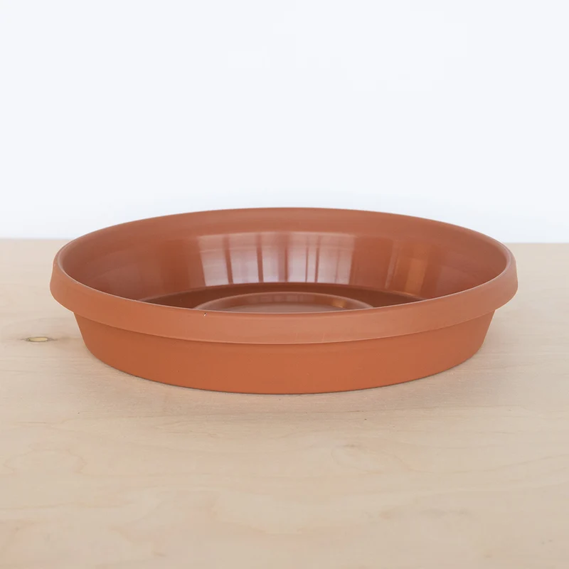 Bloem Terra Saucer in Terra Cotta