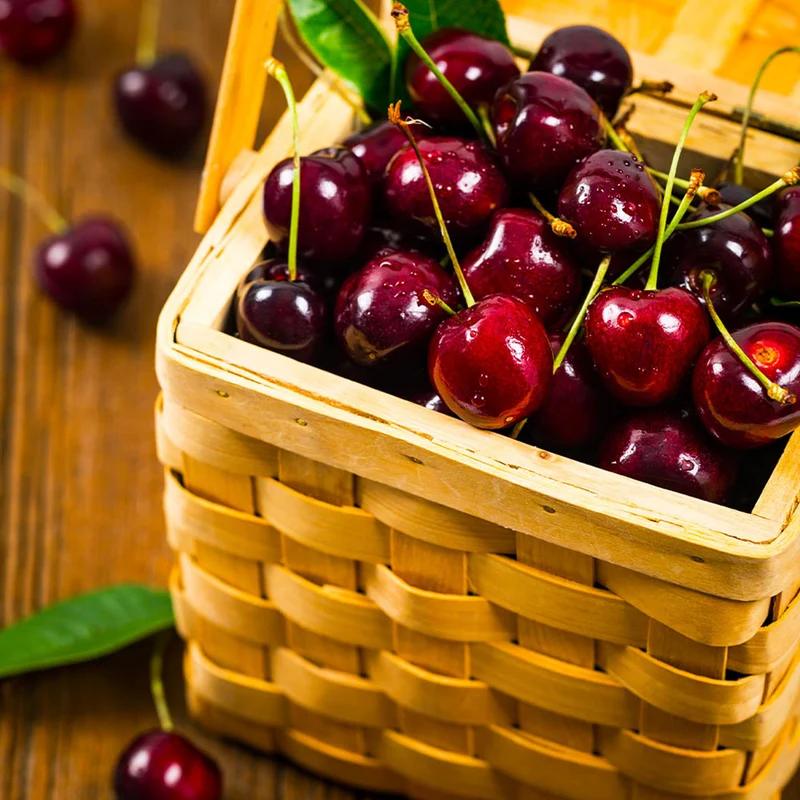 Romeo and Juliet™ Dwarf Cherry Bush