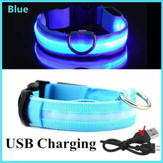 LED Hundhalsband