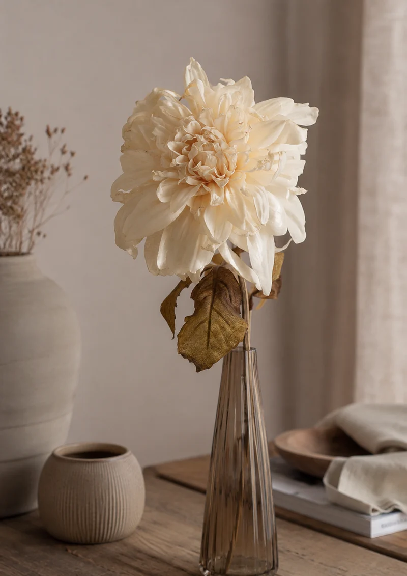 Dahlia Dried creme 74 cm