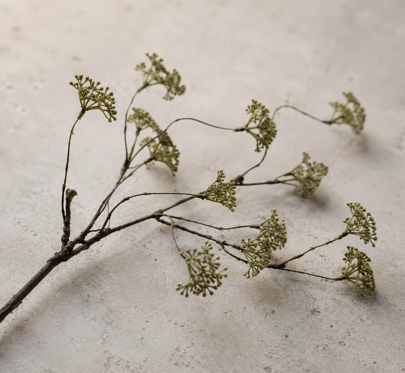 Rice Flower grön 69 cm