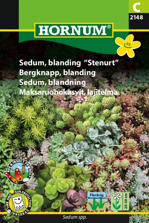Sedum Mix 'Stenört'