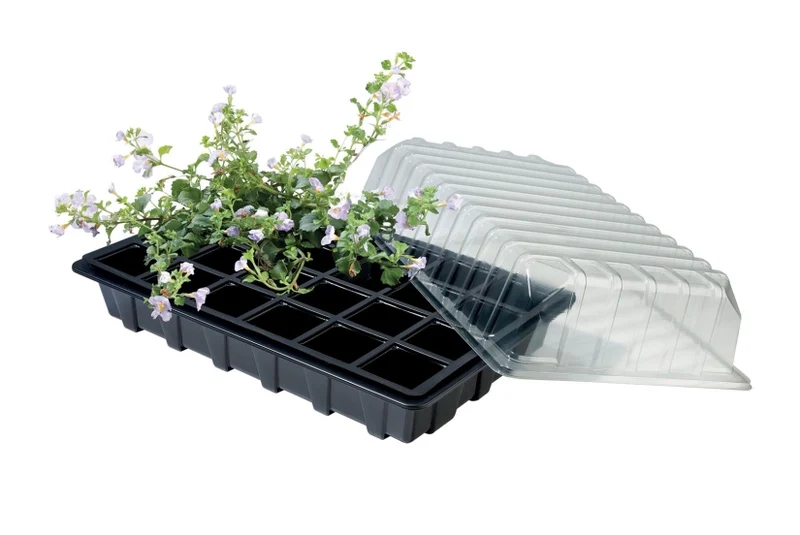 Miniväxthus 3-pack