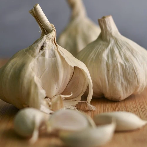 Sättlök Vitlök 'Flavor' 3-pack