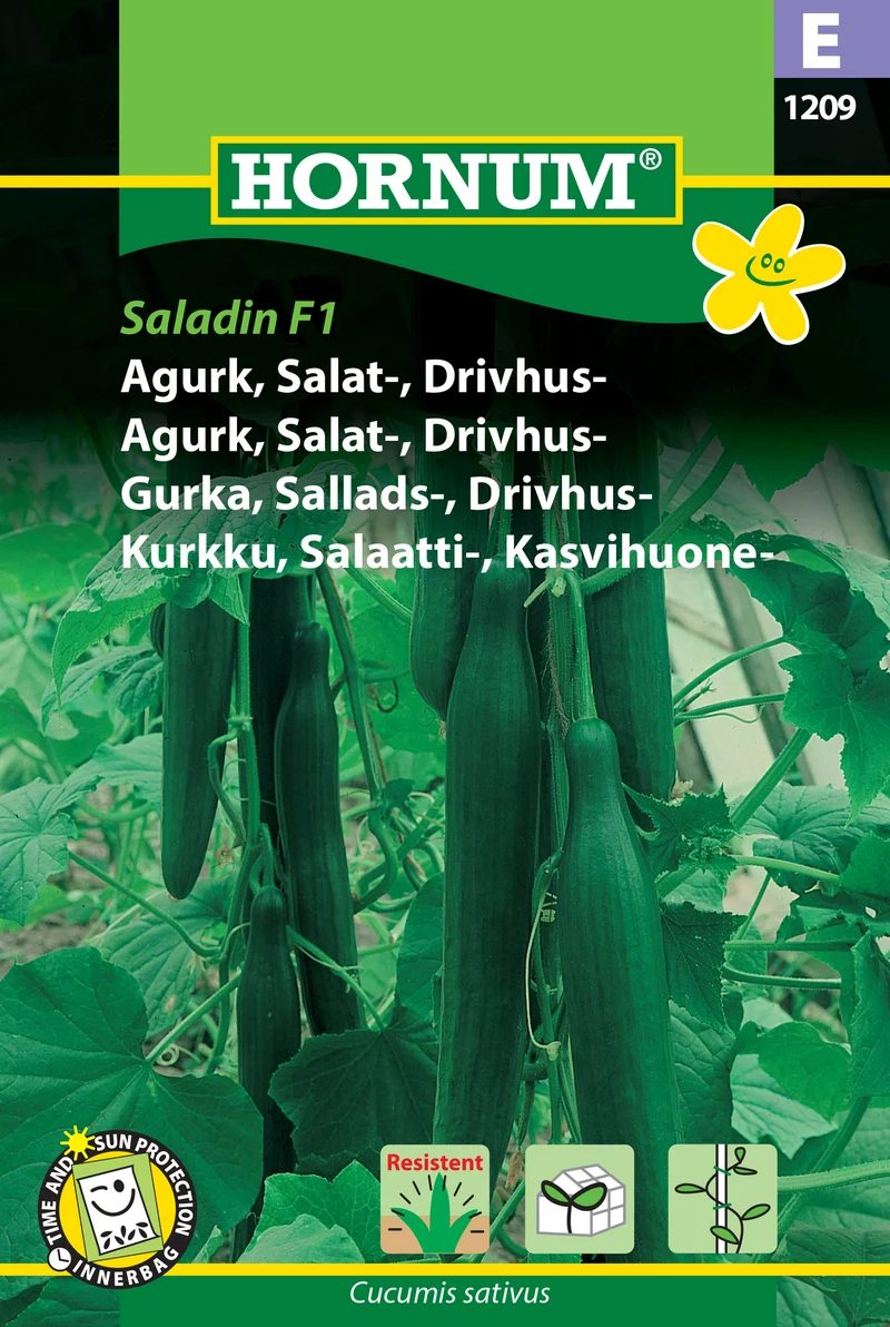 Drivhusgurka 'Saladin' F1