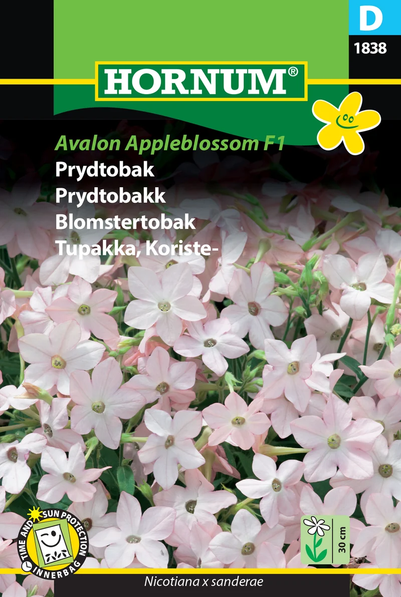 Blomstertobak 'Avalon Appleblossom' F1