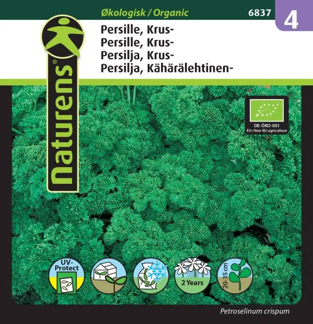Krusbladig Persilja EKO