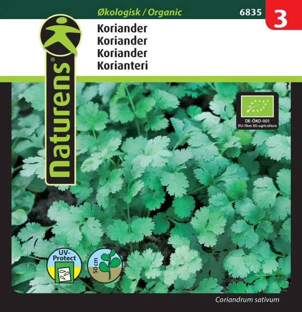 Koriander EKO