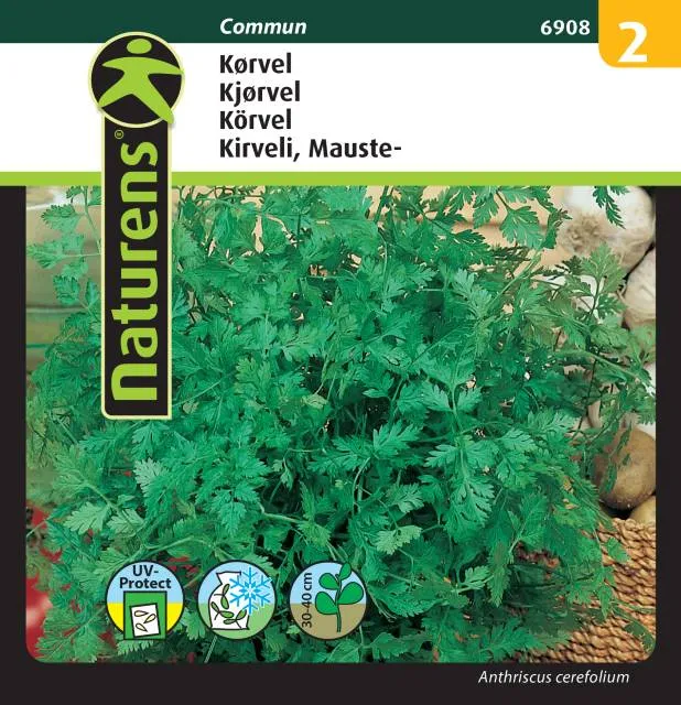 Körvel 'Commun'