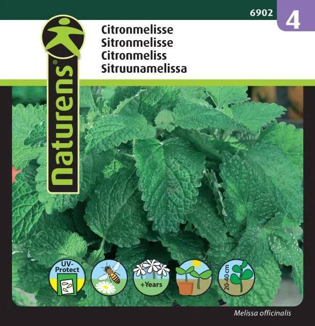 Citronmeliss