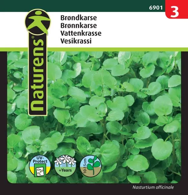Vattenkrasse