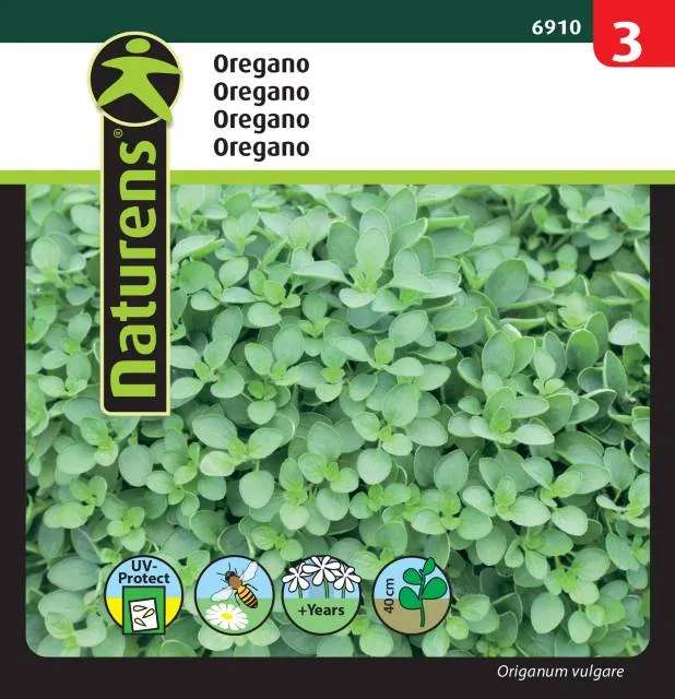 Oregano