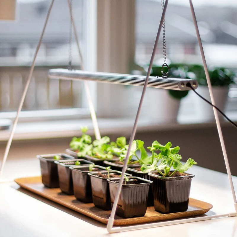 Growlight Duo 3E med stativ
