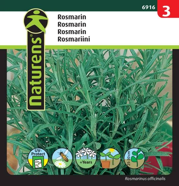 Rosmarin