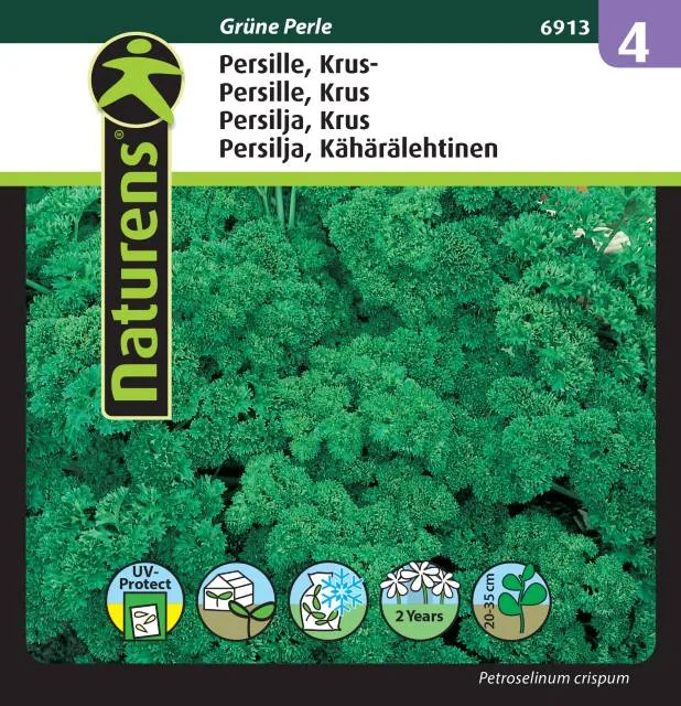 Krusbladig Persilja 'Grune'Perle'