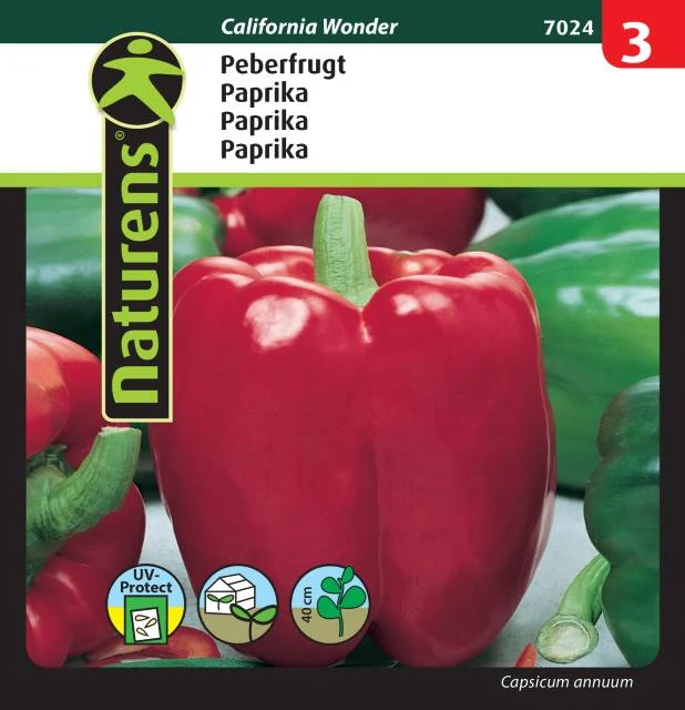 Paprika 'California Wonder'