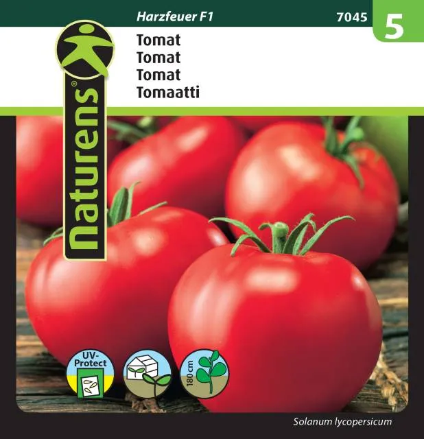 Tomat 'Harzfeuer' F1