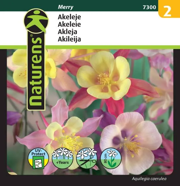 Akleja Mix 'Merry'