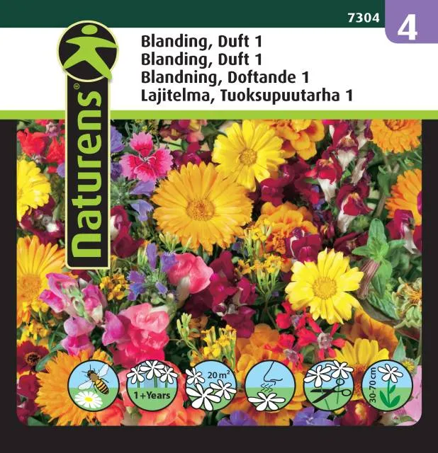 Blomsterblandning 'Doft 1' Mix