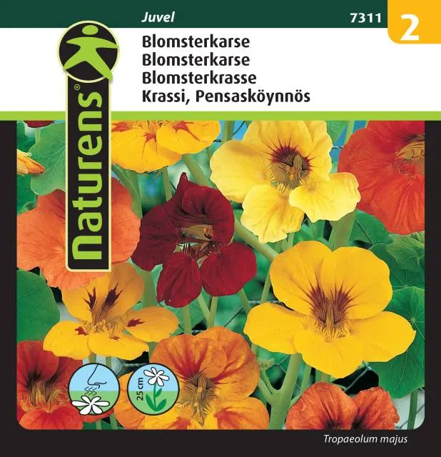 Blomsterkrasse Mix 'Juvel'