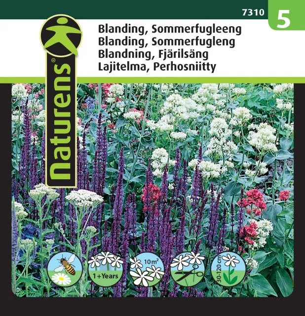 Blomsterblandning 'Fjärilsäng 1' Mix