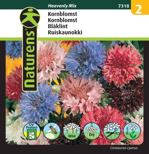 Blåklint 'Heavenly Mix'