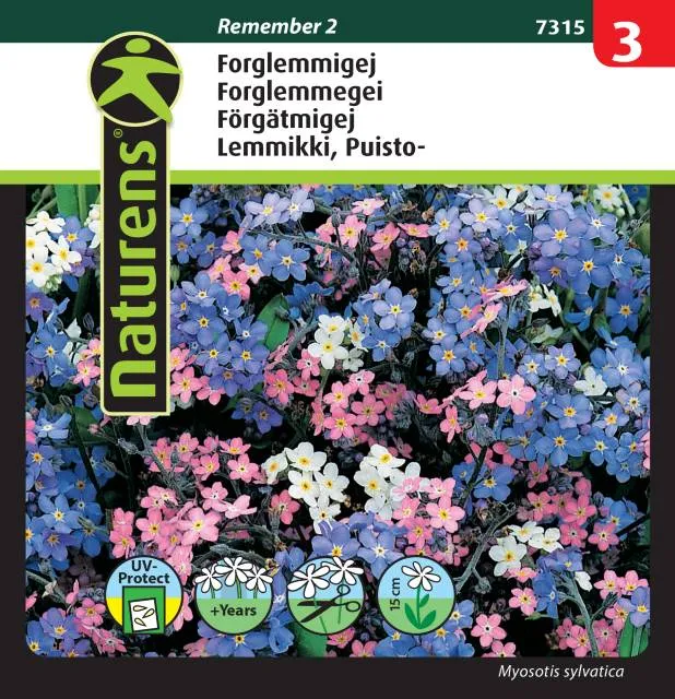 Förgätmigej Mix 'Remember 2'